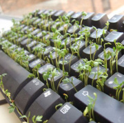 Atelier d'écriture en ligne (gratuit)