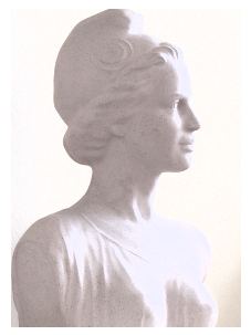 Discours du maire, conseiller général (départemental) ou autre élu